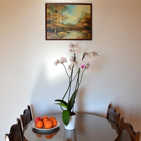 Apartment Matea Petrovac Εξωτερικό φωτογραφία